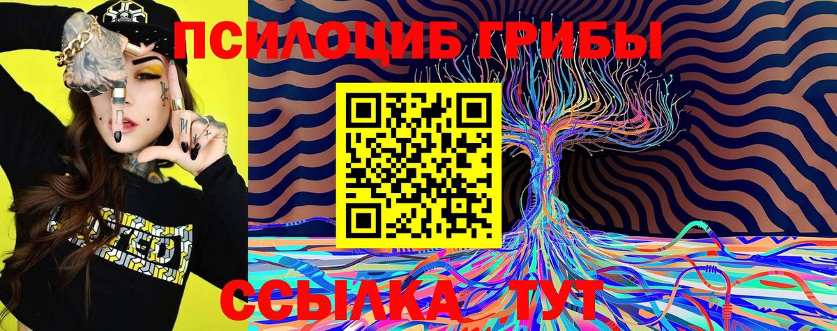 Псилоцибиновые грибы Psilocybine cubensis Печора