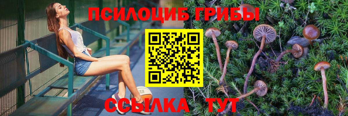 Галлюциногенные грибы Magic Shrooms  Вход с VPN  Печора 